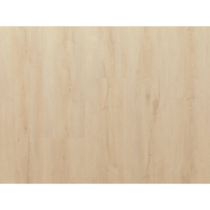 NewAge Stone Composite LVP Flooring 9.5mm 800 sq. ft. Flooring Bundle