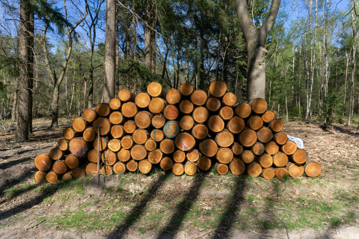 are electric log splitters any good