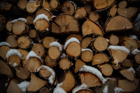 Who Makes the Best Log Splitter For the Money? The Top Brands at Equipment Outfitters
