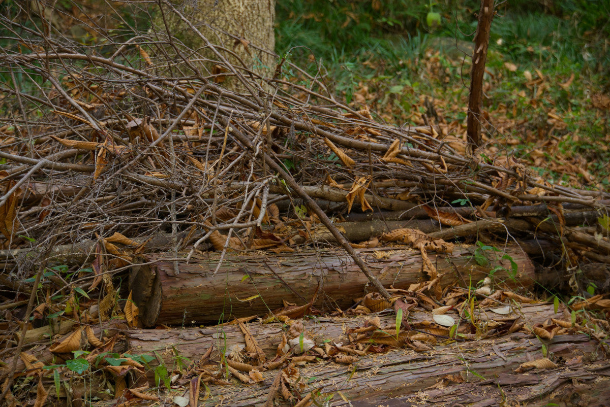 best wood chipper for home use