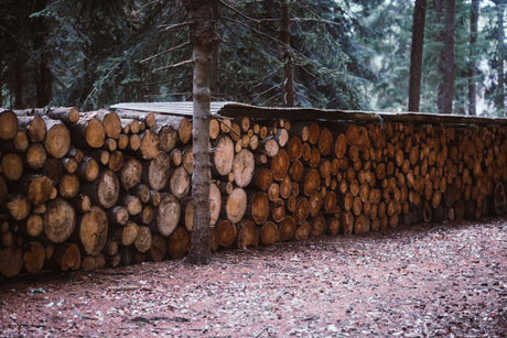 boss industrial log splitter vs oregon log splitter