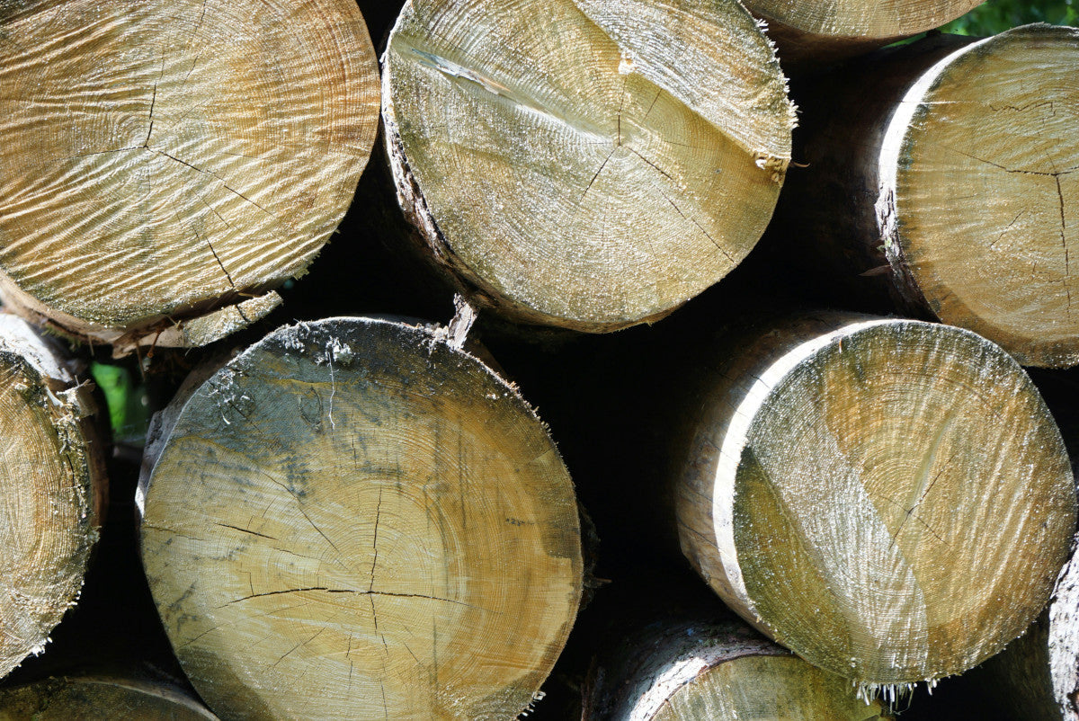 detail k2 log splitter vs oregon log splitter