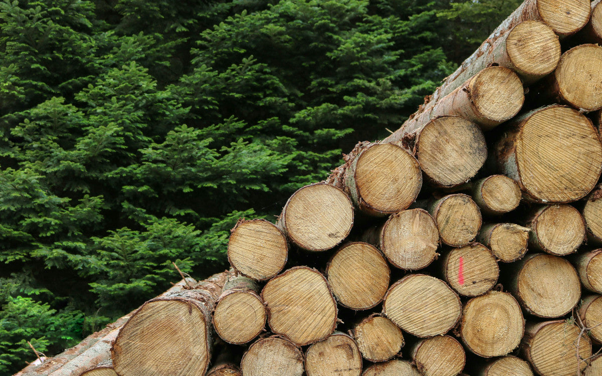 electric vs gas log splitter