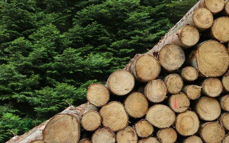 electric vs gas log splitter