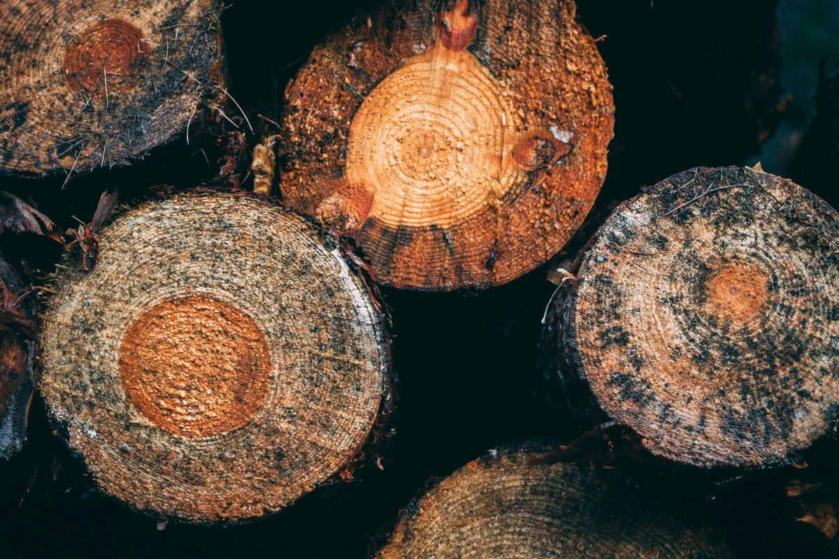 How Much Does it Cost to Rent a Log Splitter?