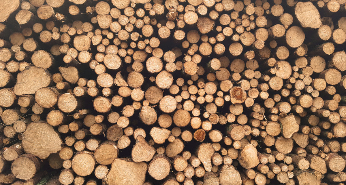 oregon vs champion log splitter