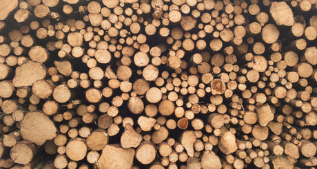 oregon vs champion log splitter