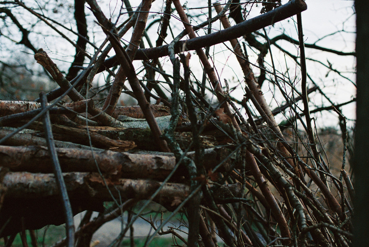 How to Sharpen Wood Chipper Blades: Guide to Wood Chipper Blade Sharpening